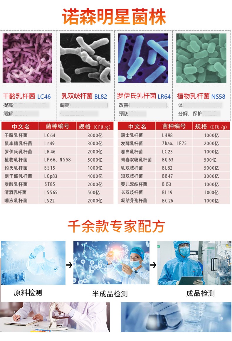 諾森明星益生菌株 益生菌株