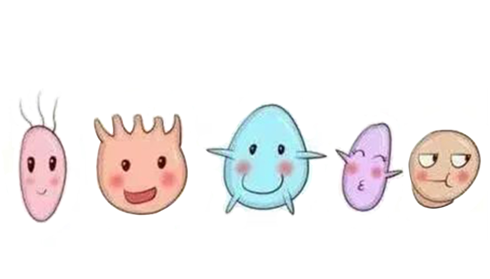 益生菌認(rèn)識(shí)誤區(qū) 益生菌認(rèn)識(shí)誤區(qū)